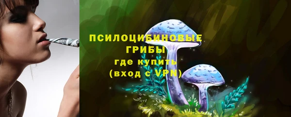прущая мука Белокуриха
