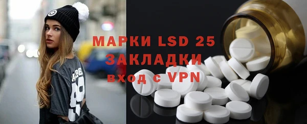 ПСИЛОЦИБИНОВЫЕ ГРИБЫ Белоозёрский
