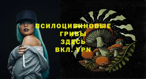 прущая мука Белокуриха