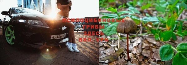 ПСИЛОЦИБИНОВЫЕ ГРИБЫ Белоозёрский