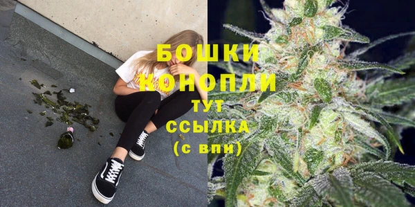 ПСИЛОЦИБИНОВЫЕ ГРИБЫ Белоозёрский