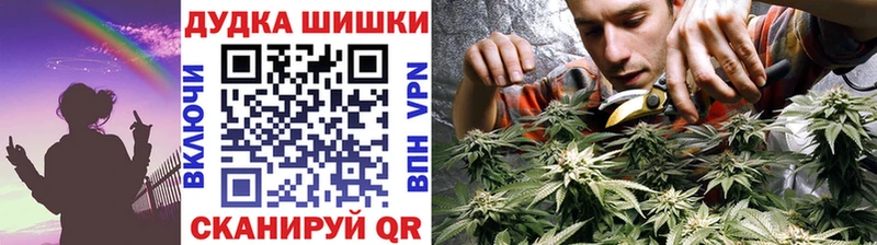 МАРИХУАНА White Widow  где купить наркотик  Купино 